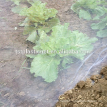 filet de jardin à mailles fines pour protéger les légumes et les cultures fruitières